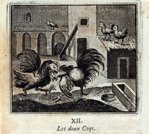 Beide hanen. Fabels van Jean de La Fontaine. Illustratie door François Chauveau. Editie van 1728. door Francois Chauveau