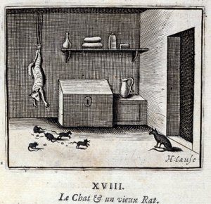 De Kat en een Oude Rat