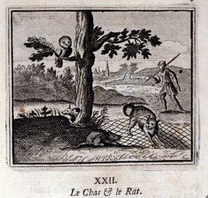 De Kat en de Rat door Francois Chauveau