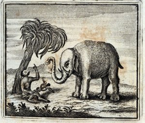 De olifant en de aap van Jupiter. Fabels door Jean de La Fontaine. Illustratie door François Chauveau. Editie van 1728 door Francois Chauveau
