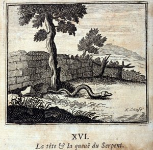 De kop en staart van de slang. Fabels door Jean de La Fontaine (1621-95). Illustratie door François Chauveau (1613-1676). Editie van 1728. door Francois Chauveau