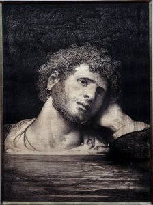 Plaat die de roman 