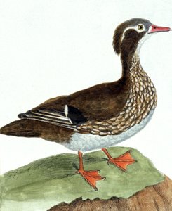 De taling door Francois Nicolas Martinet
