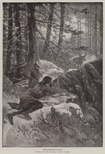 Elanden jagen in Canada