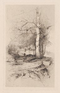 Landschap, 1890