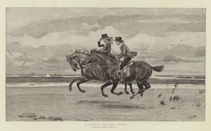 Een galop op het zand