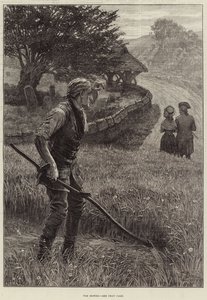 De Maaier