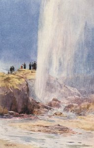 Nieuw-Zeeland: Wairoa Geyser