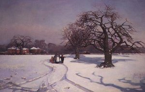 Een Zonnig Winterlandschap