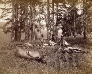 Elk Jagers, Yellowstone, c.1880 door Frank Jay Haynes