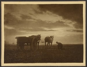 Tussen de rapen door Frank Meadow Sutcliffe
