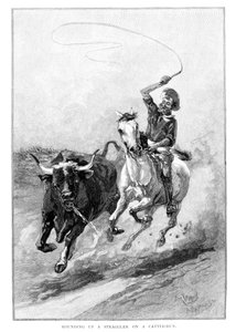 Een achterblijver oppakken tijdens een veedrijf, Australië, 1886