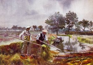 Norfolk Broads: Moerasmannen onkruid verwijderen