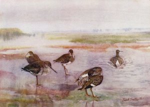 Norfolk Broads: Redshank door Frank Southgate