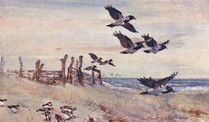 Wild Leven in Oost-Anglia: Herfstimmigranten, Bonte Kraaien en Sneeuwgorzen door Frank Southgate