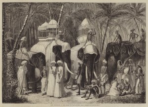 De Olifanten van de Radja van Travancore door Frank Vizetelly