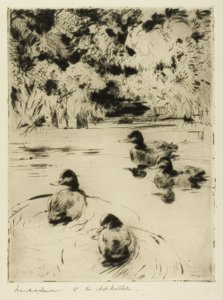 Kleine blauwbekjes door Frank Weston Benson