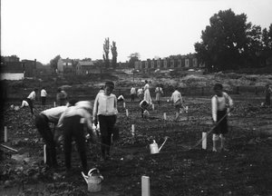 Braaktuin