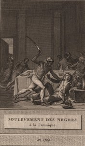 Opstand van de zwarte slaven in Jamaica in 1760 door François Anne David