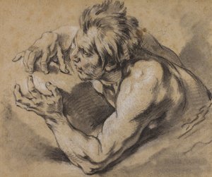 Studie van een Triton