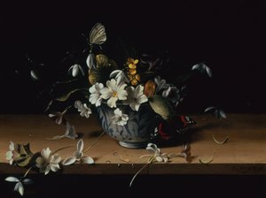 Bloemen in een Blauwe en Witte Chinese Porseleinen Kom met een Rood Admiraalvlinder op een Houten Ledge door François Habert