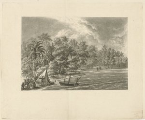 Tropisch landschap