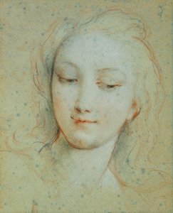 Het Hoofd van Venus