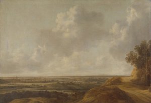 Panoramisch landschap in het platteland rond Kleef