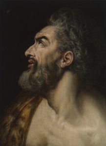 Studiekop van een bebaarde man (c.1565)
