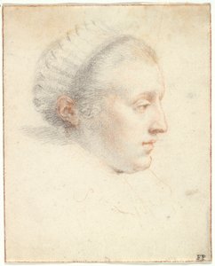 Profielportret van een Dame