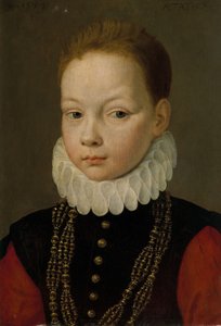Portret van een negenjarige jongen door Frans I Pourbus