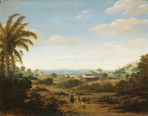 Landschap aan de Rio Senhor de Engenho, Brazilië