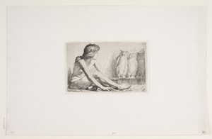 Het meisje met de uilen door Frans Schwartz