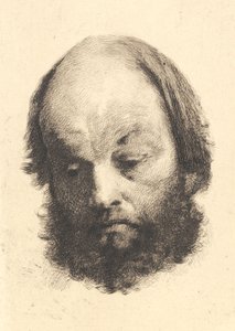 Zwartbaardige man, Garibaldi door Frans Schwartz