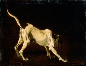Een Hond, 17e eeuw