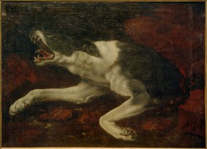 Gewonde hond