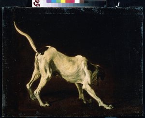 Een hond