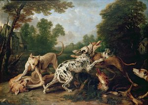 Honden vechten in een beboste open plek