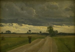 Landschap in grijs weer