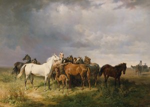 Paarden in de Puszta