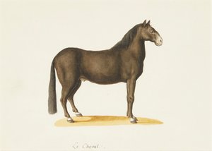 Het Paard door Franz Anton von (attr.to) Scheidel
