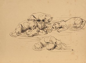 Vechtende Sundapanters door Franz Barwig d. Ä.