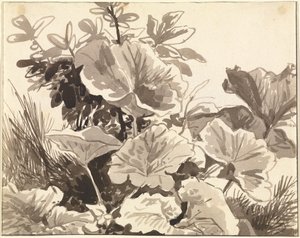 Studie van hoefbladbladeren