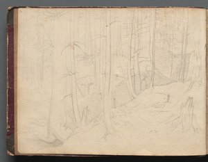 Album met Zichten op Rome en Omgeving, Landschapsstudies, pagina 01b: Romeins Landschap