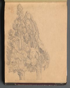 Album met Zichten van Rome en Omgeving, Landschapsstudies, pagina 13a: Bomen door Franz Johann Heinrich Nadorp