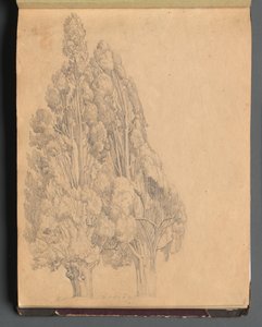 Album met Zichten op Rome en Omgeving, Landschapsstudies, pagina 13a: Bomen door Franz Johann Heinrich Nadorp