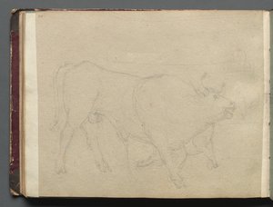 Album met Zichten op Rome en Omgeving, Landschapsstudies, pagina 51b: Studie van een Stier
