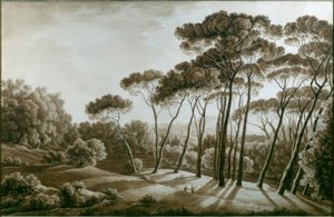 De pijnbomen van de Villa Doria Pamphili