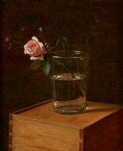 Roos in een Glas