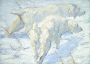Siberische Honden in de Sneeuw